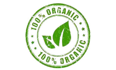 Oradentum logo 2
